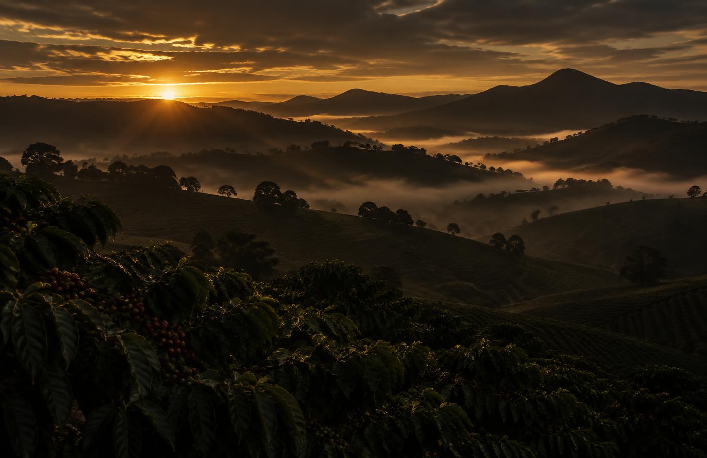 Montanhas e lavouras de café do Sul de Minas ao amanhecer